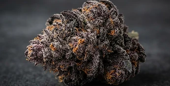 Blue Dream Auto
