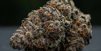 Green Gelato Auto