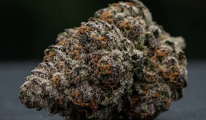 Green Gelato Auto