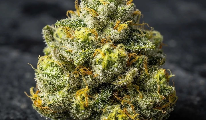 Solomatic CBD Auto