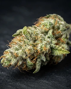 Amnesia Haze Auto