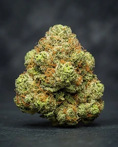 Bruce Banner Auto