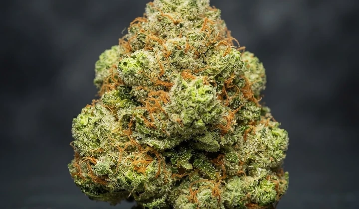 Bruce Banner Auto