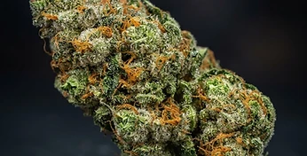 HulkBerry Auto
