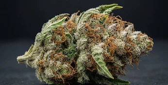 Royal AK Auto