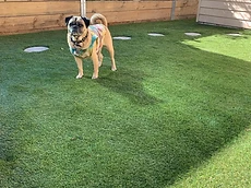 The Grass Bros. outdoor space inspiration 1