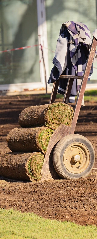 Fresh turf rolls on a hand truck ready for installation