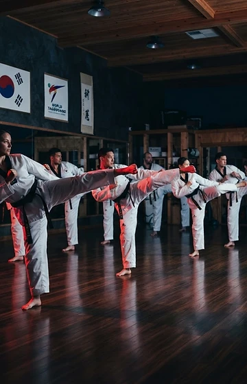 Adults Class Taekwondo class