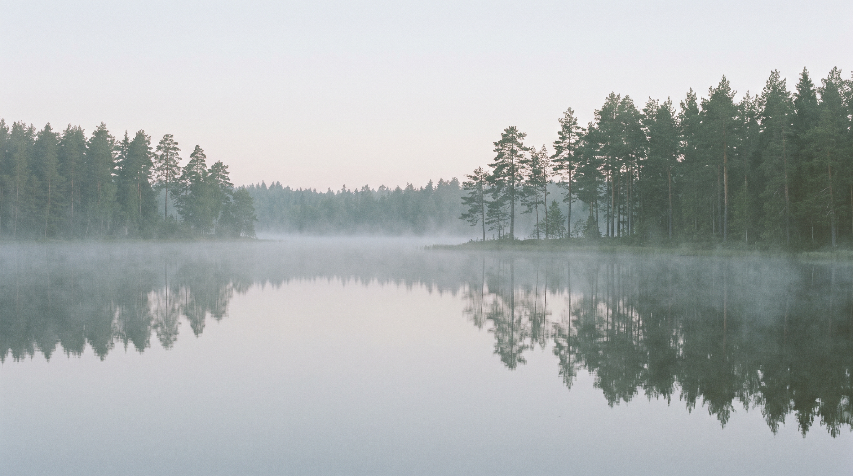 Misty forest lake at dawn with still water and pine reflections