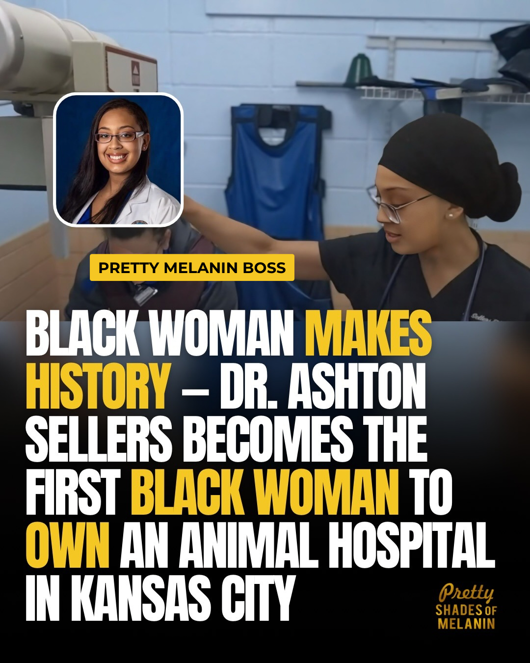 Dr. Ashton Sellers — First Black Woman to Own an Animal Hospital in Kansas City