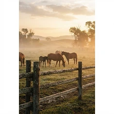 Ranch