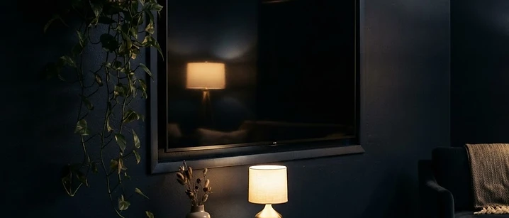 Dark living room wall with a large blank television reflecting warm light beside a trailing houseplant