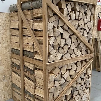 Carpino