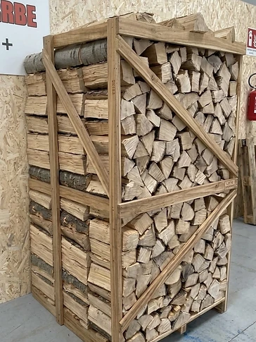 Carpino