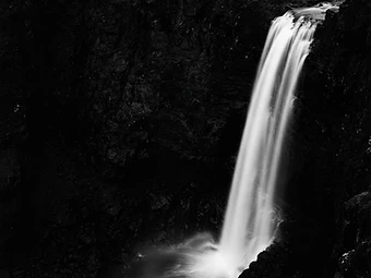 Cold Water — Stems