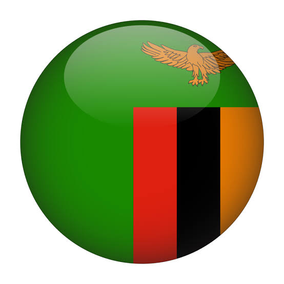 Flag of Zambia