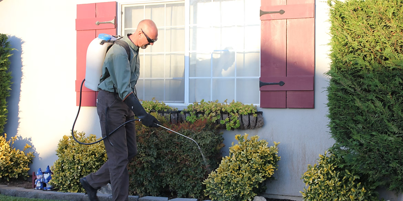 Pest Control website design consultation with Fullscale