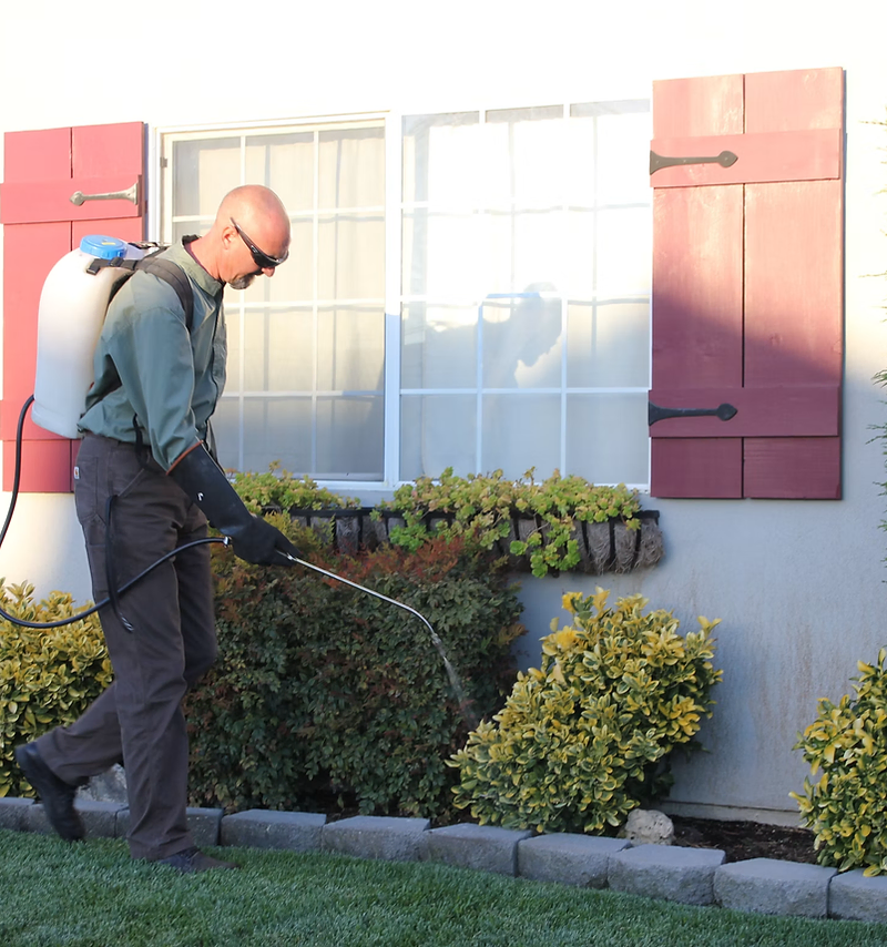 Pest control website design: technician treating a home foundation