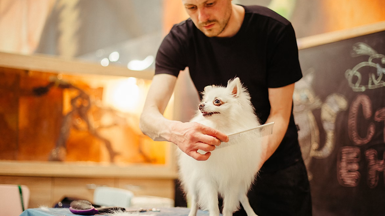 Pet Grooming checking new job requests on his phone