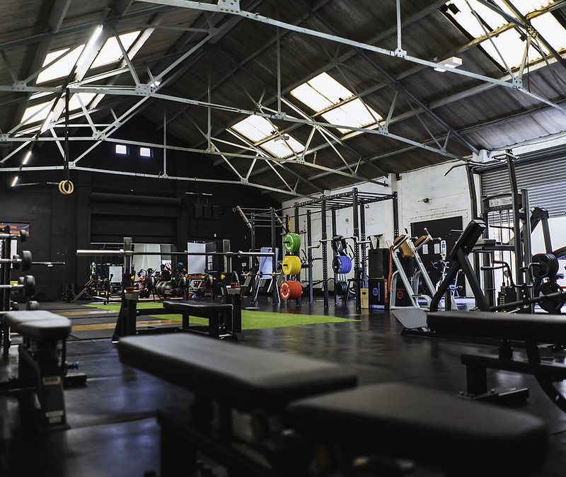 Strength gym floor with racks, benches and colour plates