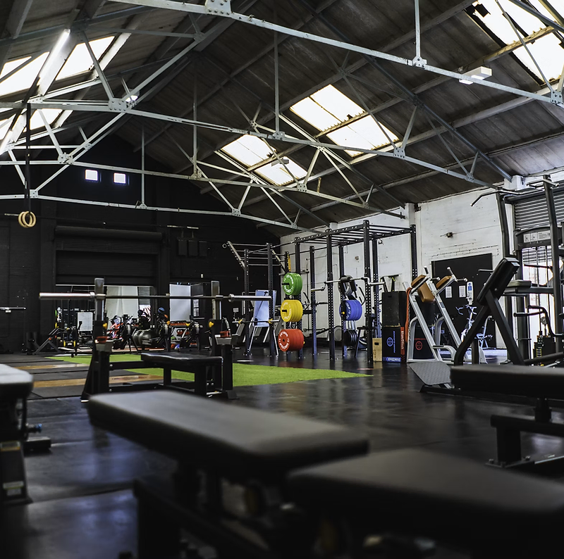 Gym website design: strength gym floor with racks, benches and colour plates