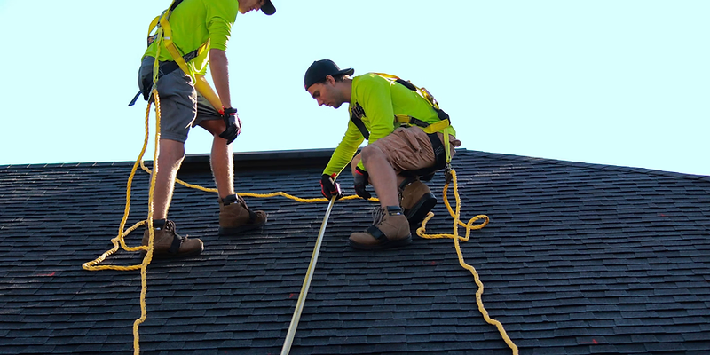 Roofers in safety harnesses measuring a shingle roof