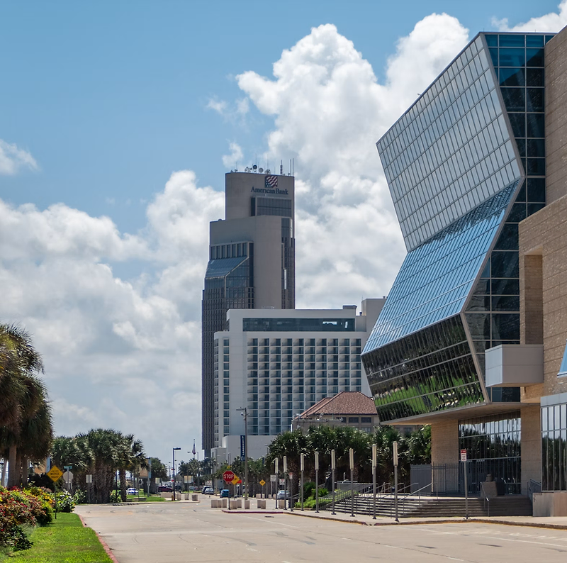 Palm-lined street in downtown Corpus Christi with glass buildings