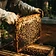 Backyard Beekeeping
