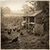 Raising Egg Laying Chickens