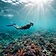 Snorkeling