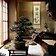 Bonsai
