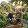 Gardening