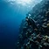 Scuba Diving