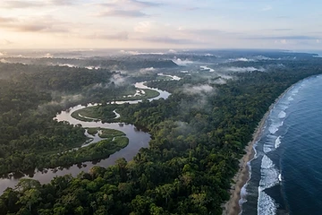 Crédits carbone : le Gabon plaide pour une rémunération juste des forêts