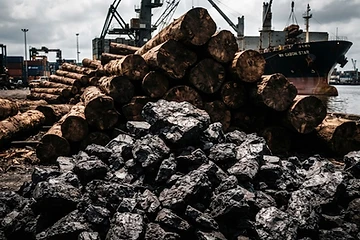 Filière bois : la transformation locale crée de nouveaux emplois à Nkok