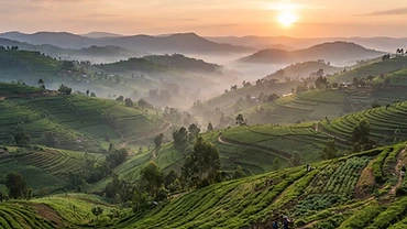 Kigali