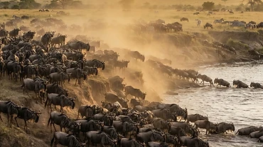 Serengeti National Park