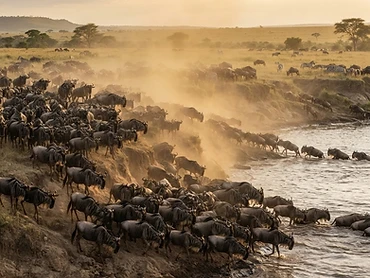 7-Day Serengeti Migration Safari