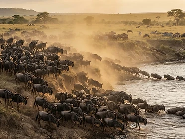 Serengeti National Park