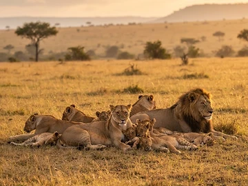 6-Day Uganda Gorilla & Wildlife Safari 2