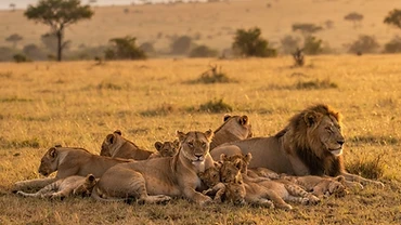 Queen Elizabeth National Park