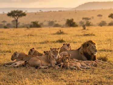 Queen Elizabeth National Park