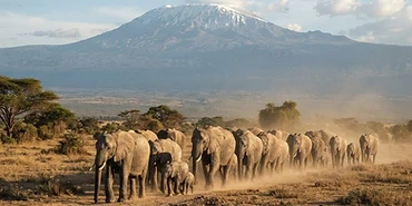East African Safari Packing List