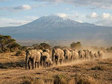 Mount Kilimanjaro