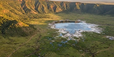 Best Time to Visit Tanzania for a Safari