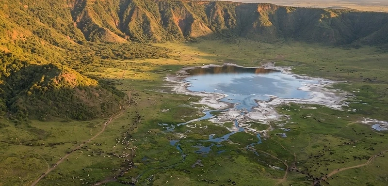 Tanzania safaris
