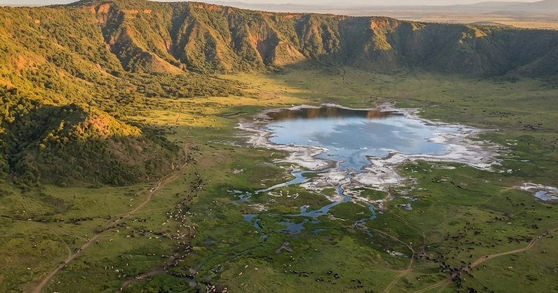 Best Time to Visit Tanzania for a Safari