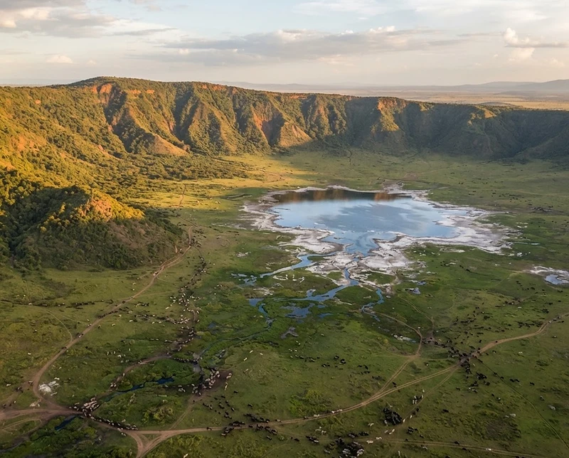 5-Day Tanzania Northern Circuit: Tarangire, Ngorongoro & Manyara