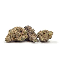 Cheddar Cheeze strain