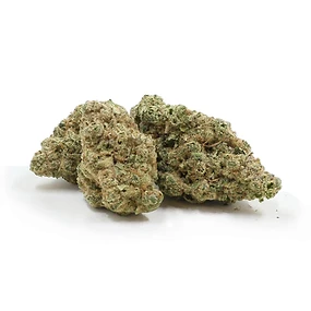 Bangerine strain